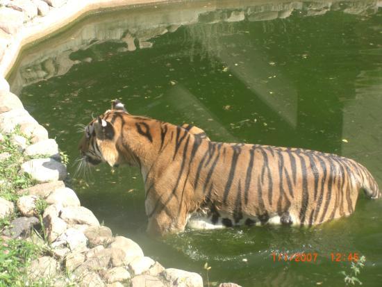 Zoo Zamość